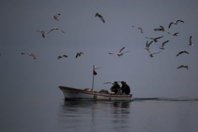 10. TARIM VE İNSAN FOTOĞRAF YARIŞMASI - Celal ERDEM