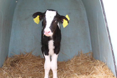 10. TARIM VE İNSAN FOTOĞRAF YARIŞMASI - Cumhur DENİZ