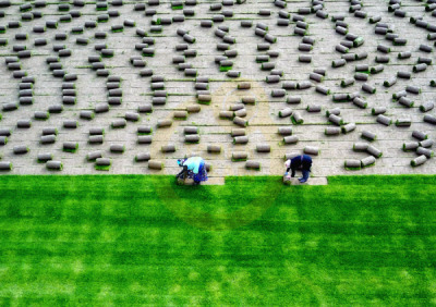 11. TARIM VE İNSAN FOTOĞRAF YARIŞMASI - Abdurrahman ÇETİN