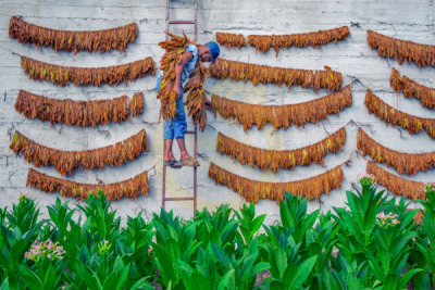 11. TARIM VE İNSAN FOTOĞRAF YARIŞMASI - Meriç AKTAR