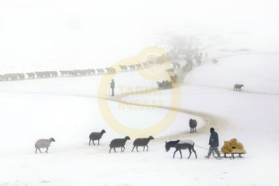 11. TARIM VE İNSAN FOTOĞRAF YARIŞMASI - Elif ÇAKICI