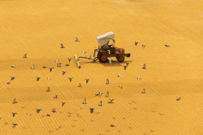 11. TARIM VE İNSAN FOTOĞRAF YARIŞMASI - Mehmet ASLAN