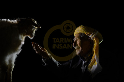 11. TARIM VE İNSAN FOTOĞRAF YARIŞMASI - Ahmet Fatih SÖNMEZ