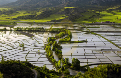 11. TARIM VE İNSAN FOTOĞRAF YARIŞMASI - Ali ACAR