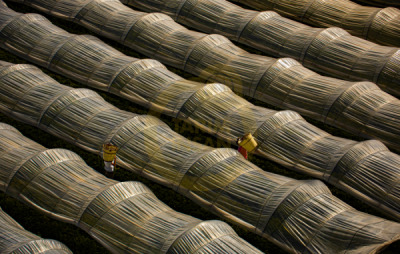 11. TARIM VE İNSAN FOTOĞRAF YARIŞMASI - Derya BALKAN