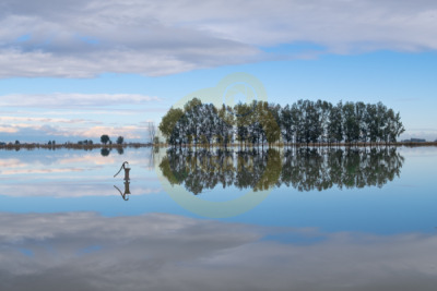 11. TARIM VE İNSAN FOTOĞRAF YARIŞMASI - Gültekin KAYALAR