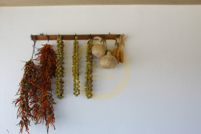 11. TARIM VE İNSAN FOTOĞRAF YARIŞMASI - Hatice SARI