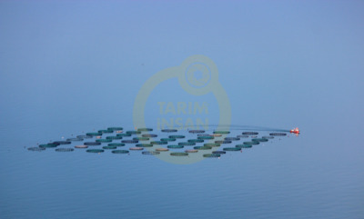 11. TARIM VE İNSAN FOTOĞRAF YARIŞMASI - İlhan TURAN