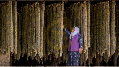 11. TARIM VE İNSAN FOTOĞRAF YARIŞMASI - Kazım YEŞİLYURT