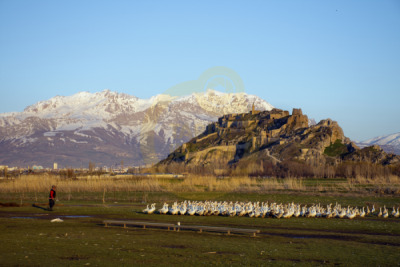 11. TARIM VE İNSAN FOTOĞRAF YARIŞMASI - Lokman DEMİR