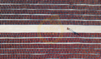 11. TARIM VE İNSAN FOTOĞRAF YARIŞMASI - Mehmet YILMAZ