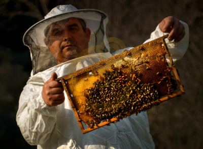 11. TARIM VE İNSAN FOTOĞRAF YARIŞMASI - Melih GEZER