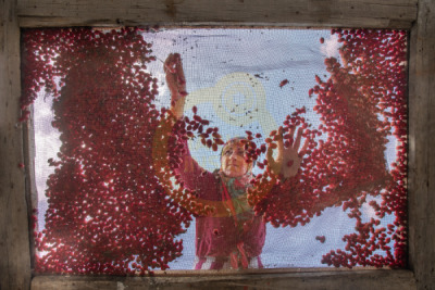 11. TARIM VE İNSAN FOTOĞRAF YARIŞMASI - Muhammed Fatih ZENGİN