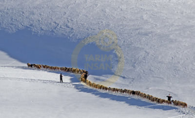 11. TARIM VE İNSAN FOTOĞRAF YARIŞMASI - Musa TALŞLI