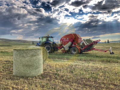 11. TARIM VE İNSAN FOTOĞRAF YARIŞMASI - Mustafa EVRAN