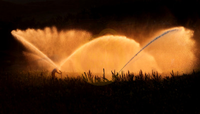 11. TARIM VE İNSAN FOTOĞRAF YARIŞMASI - Mustafa GEZER