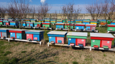 11. TARIM VE İNSAN FOTOĞRAF YARIŞMASI - Mustafa ULUSOY