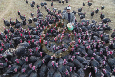 11. TARIM VE İNSAN FOTOĞRAF YARIŞMASI - Orhan KÖSE