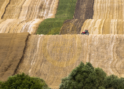 11. TARIM VE İNSAN FOTOĞRAF YARIŞMASI - Servet ÇINAR