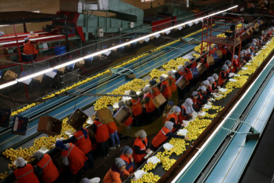 11. TARIM VE İNSAN FOTOĞRAF YARIŞMASI - Tahsin TOPÇU