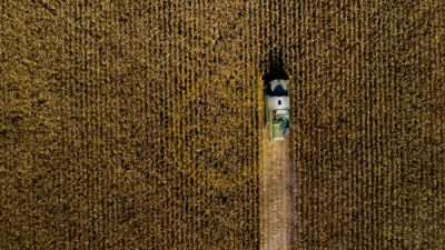 11. TARIM VE İNSAN FOTOĞRAF YARIŞMASI - Yüksel AÇIKGÖZ