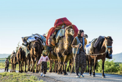 12. TARIM ORMAN VE İNSAN FOTOĞRAF YARIŞMASI - Mustafa GÜMÜŞ