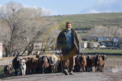 12. TARIM ORMAN VE İNSAN FOTOĞRAF YARIŞMASI - Mustafa ÖNDER