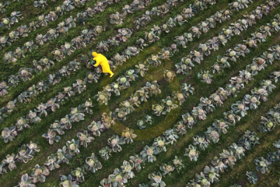 12. TARIM ORMAN VE İNSAN FOTOĞRAF YARIŞMASI - Abdurrahman ÇETİN