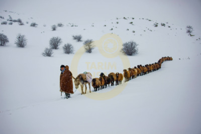 12. TARIM ORMAN VE İNSAN FOTOĞRAF YARIŞMASI - Bilal KALA