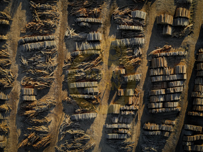 12. TARIM ORMAN VE İNSAN FOTOĞRAF YARIŞMASI - Abdullah DURMAN