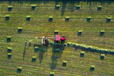 12. TARIM ORMAN VE İNSAN FOTOĞRAF YARIŞMASI - Abdurrahman ÇETİN