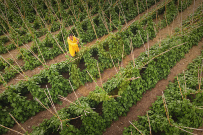 12. TARIM ORMAN VE İNSAN FOTOĞRAF YARIŞMASI - Ahmet ASLAN