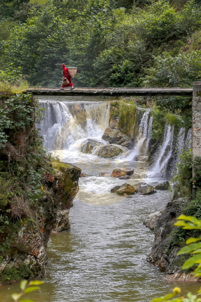 12. TARIM ORMAN VE İNSAN FOTOĞRAF YARIŞMASI - Ahmet KILIÇ