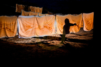 12. TARIM ORMAN VE İNSAN FOTOĞRAF YARIŞMASI - Burhan TOY