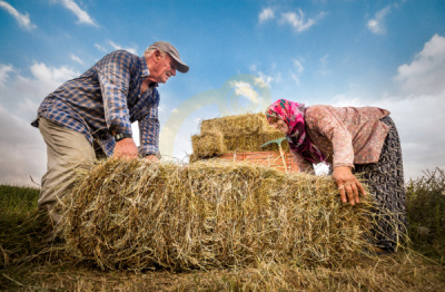 12. TARIM ORMAN VE İNSAN FOTOĞRAF YARIŞMASI - Cengiz TÜRKOĞLU