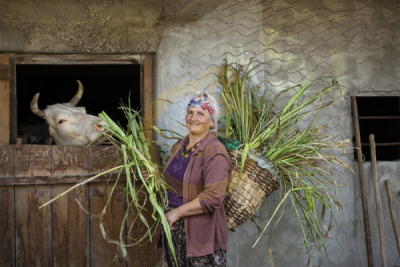 12. TARIM ORMAN VE İNSAN FOTOĞRAF YARIŞMASI - Efe Mert YEŞİLÇİÇEK
