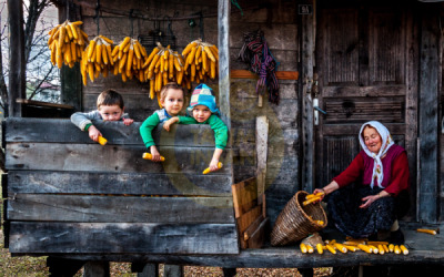 12. TARIM ORMAN VE İNSAN FOTOĞRAF YARIŞMASI - Egemen ERYILMAZ