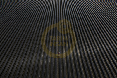 12. TARIM ORMAN VE İNSAN FOTOĞRAF YARIŞMASI - Elif KÜRLEYEN