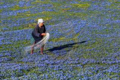12. TARIM ORMAN VE İNSAN FOTOĞRAF YARIŞMASI - Elmas CUMRU
