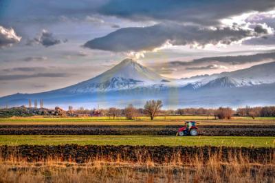12. TARIM ORMAN VE İNSAN FOTOĞRAF YARIŞMASI - Erkan BALDAN