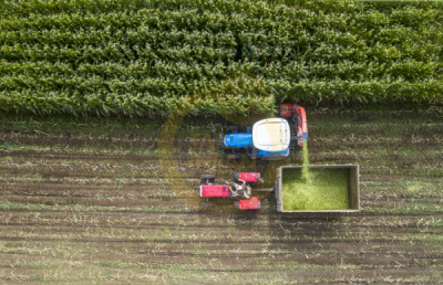 12. TARIM ORMAN VE İNSAN FOTOĞRAF YARIŞMASI - Fatih Muhammet TOPAL