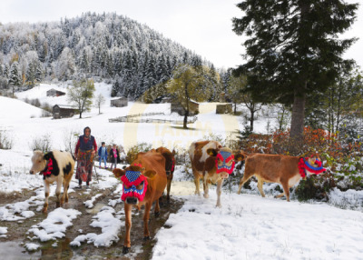 12. TARIM ORMAN VE İNSAN FOTOĞRAF YARIŞMASI - Fazıl SAYAÇ