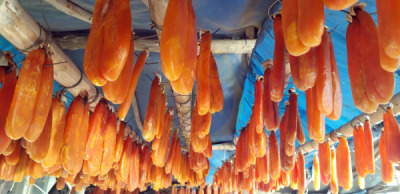 12. TARIM ORMAN VE İNSAN FOTOĞRAF YARIŞMASI - Gürdal ERSOY