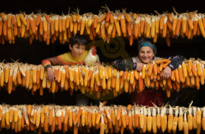 12. TARIM ORMAN VE İNSAN FOTOĞRAF YARIŞMASI - İlhan UZUNİSMAİL