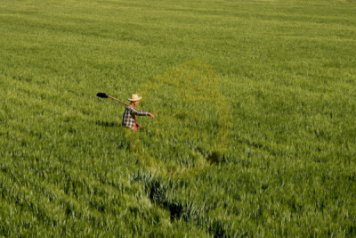 12. TARIM ORMAN VE İNSAN FOTOĞRAF YARIŞMASI - Kureyş GÖÇEM