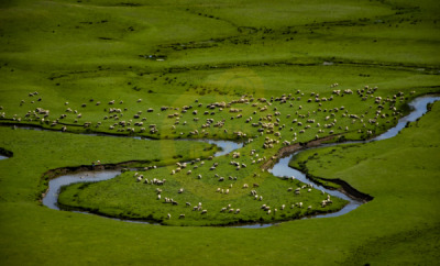12. TARIM ORMAN VE İNSAN FOTOĞRAF YARIŞMASI - Nazan YILDIRIM