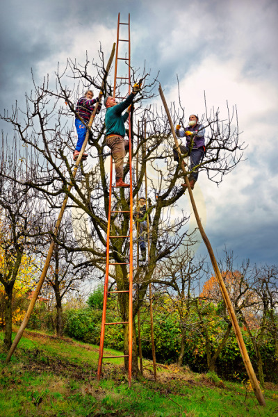 12. TARIM ORMAN VE İNSAN FOTOĞRAF YARIŞMASI - Nurten KOÇ