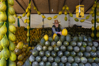 12. TARIM ORMAN VE İNSAN FOTOĞRAF YARIŞMASI - Özlem DUYSAK
