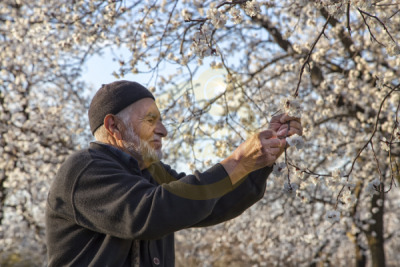 12. TARIM ORMAN VE İNSAN FOTOĞRAF YARIŞMASI - Ramiz AKAR