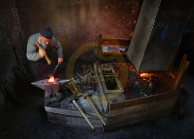 12. TARIM ORMAN VE İNSAN FOTOĞRAF YARIŞMASI - Sabri ALTIN